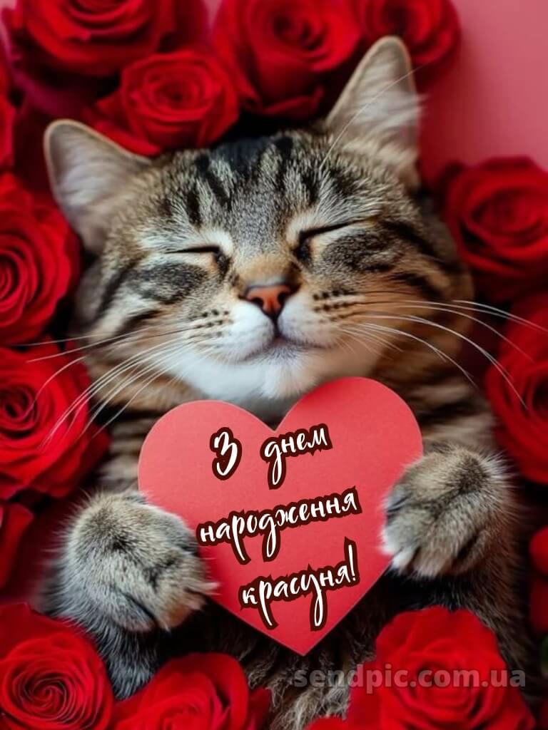 З днем народження красуня картинки 2 8