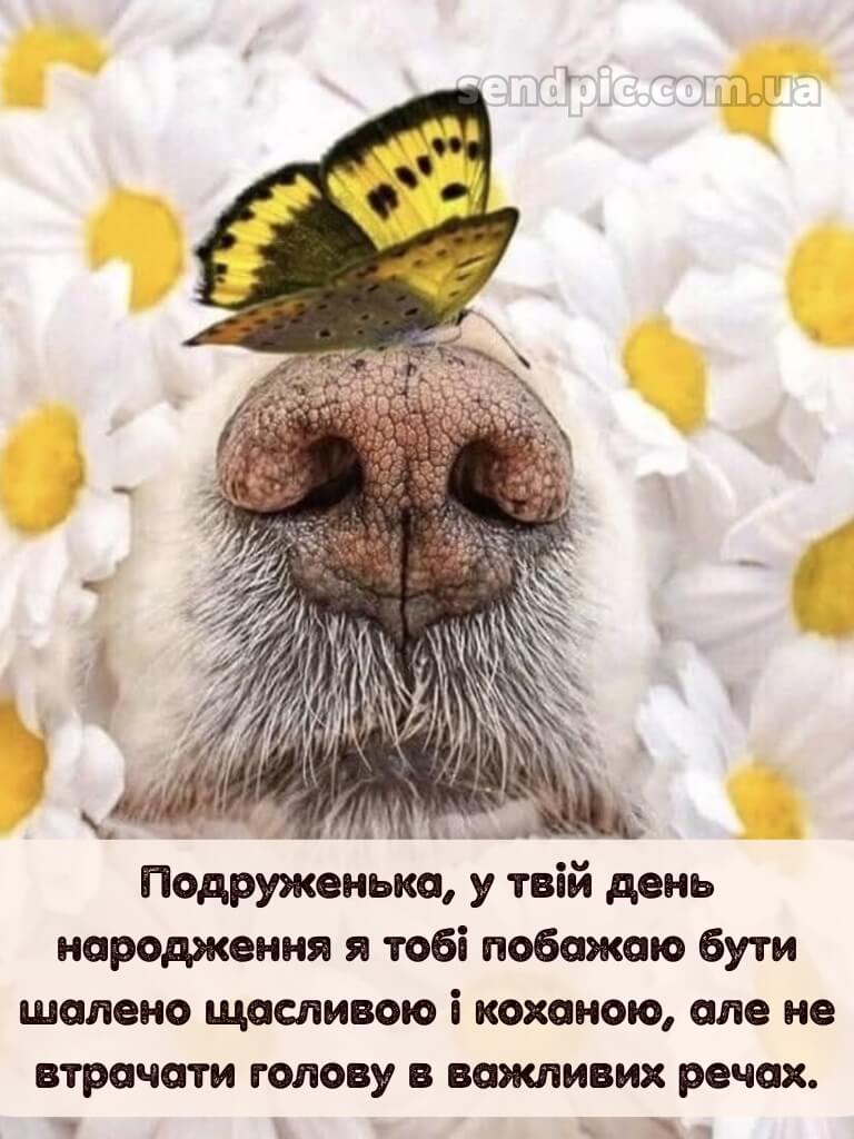 З днем народження подрузі прикольні 11