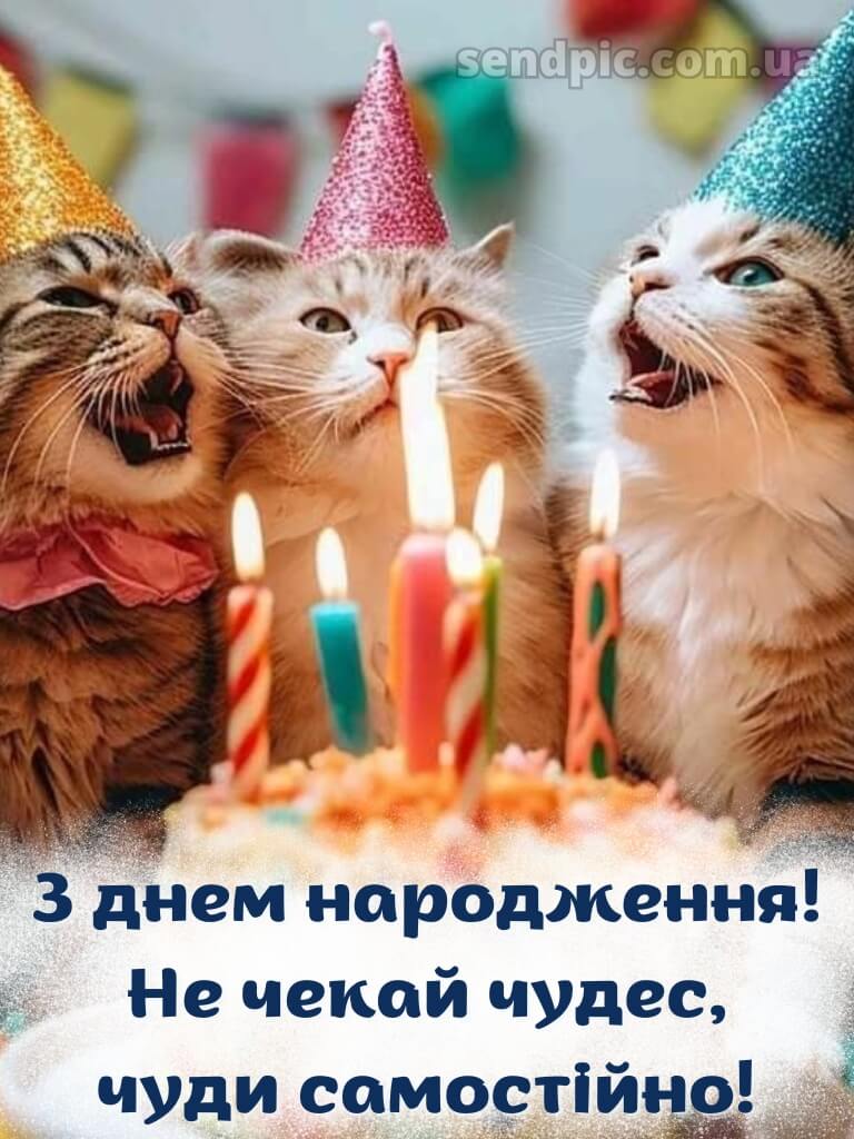 З днем народження подрузі прикольні 2