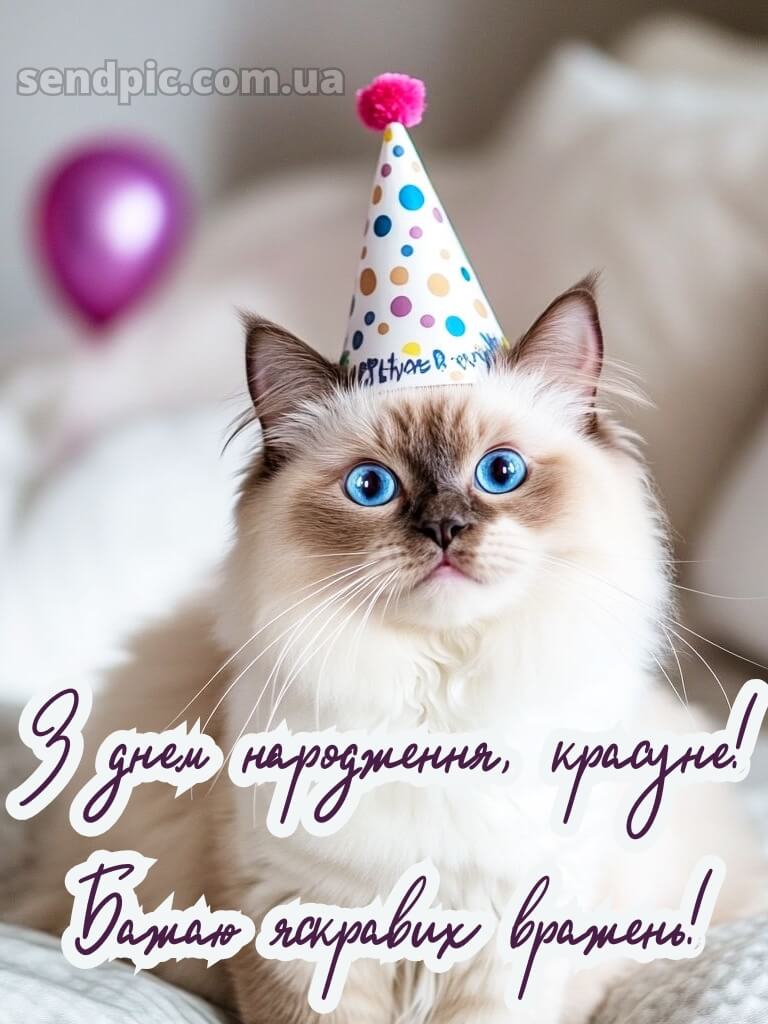 З днем народження подрузі прикольні 5