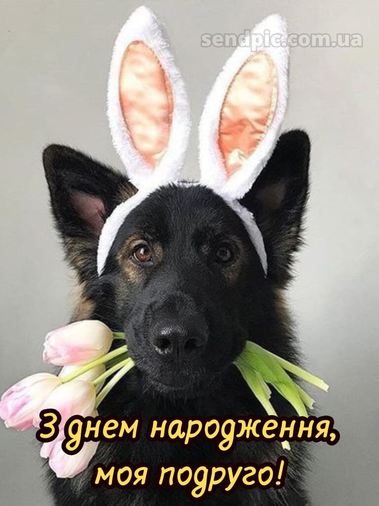З днем народження подрузі прикольні 8