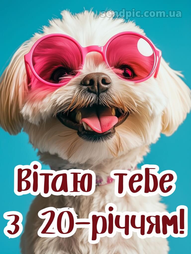 Привітання з 20 річчям прикольні 5