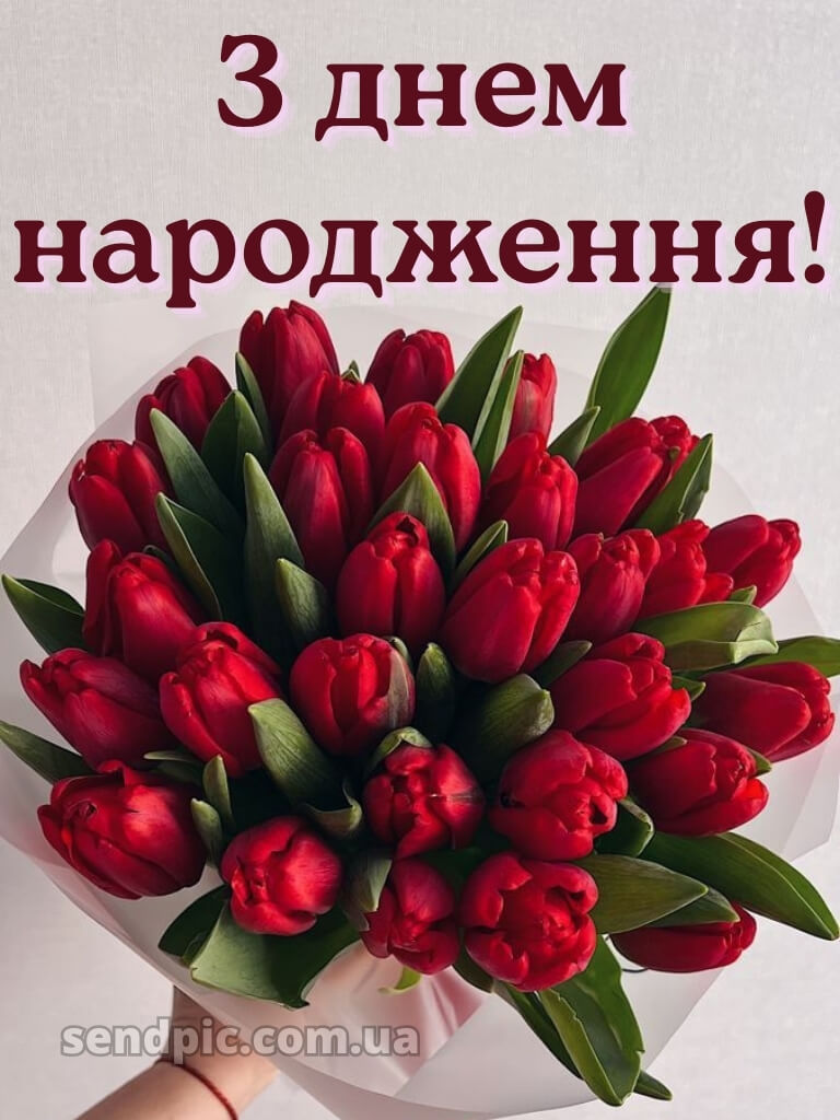 Квітів шикарні букети з днем народження 23