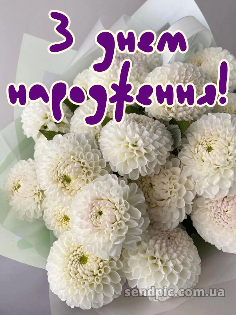 Квіти шикарні букети з днем народження 23