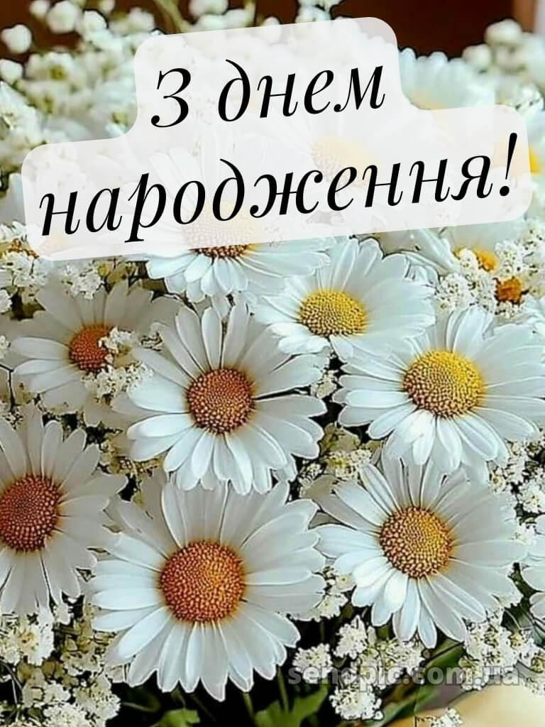 Шикарні букети з днем народження жінці квіти 16