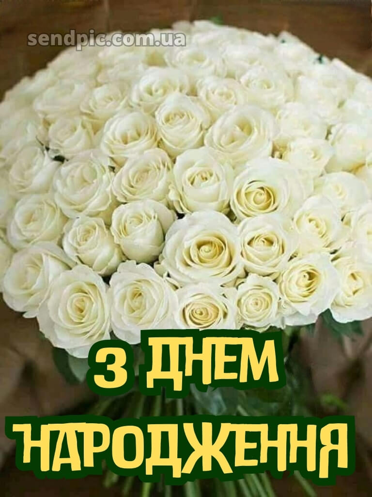 Троянди шикарні букети з днем народження 20