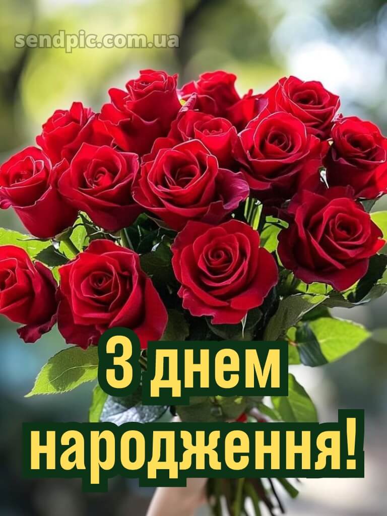 Червоні троянди з днем народження 26