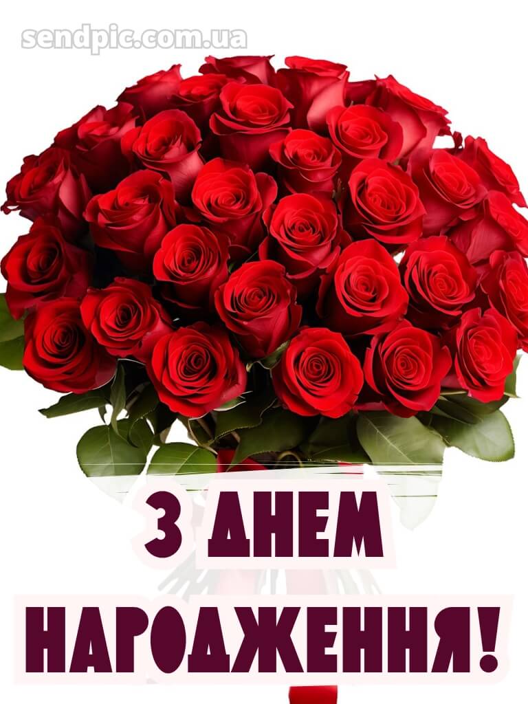 Червоні троянди з днем народження 30