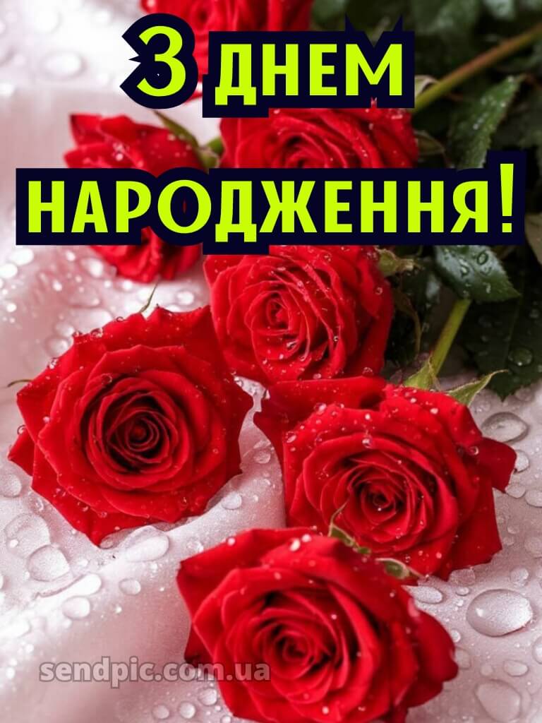 Червоні троянди з днем народження 19