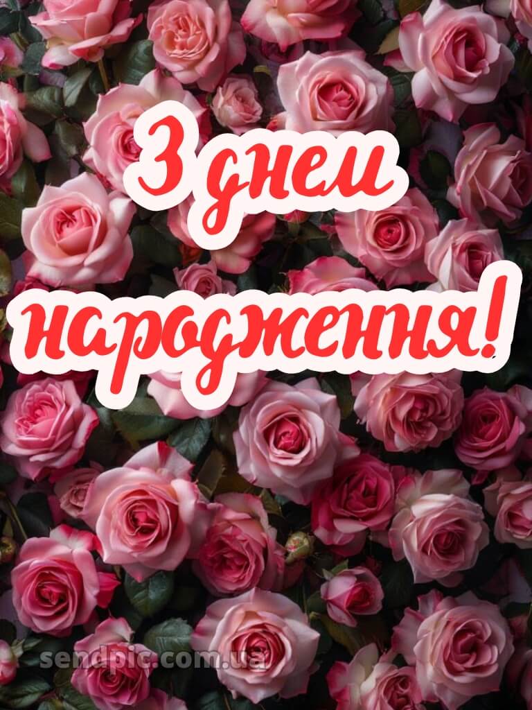 Роз шикарні букети з днем народження 21