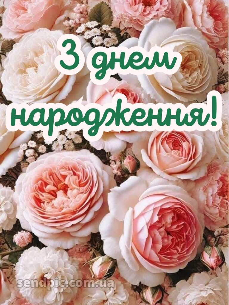 Рози шикарні букети з днем народження 23