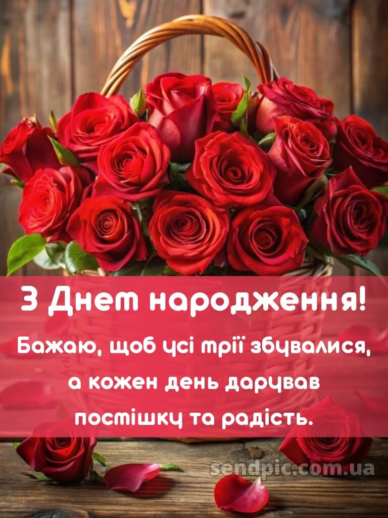 Троянди рози шикарный з днем народження 26