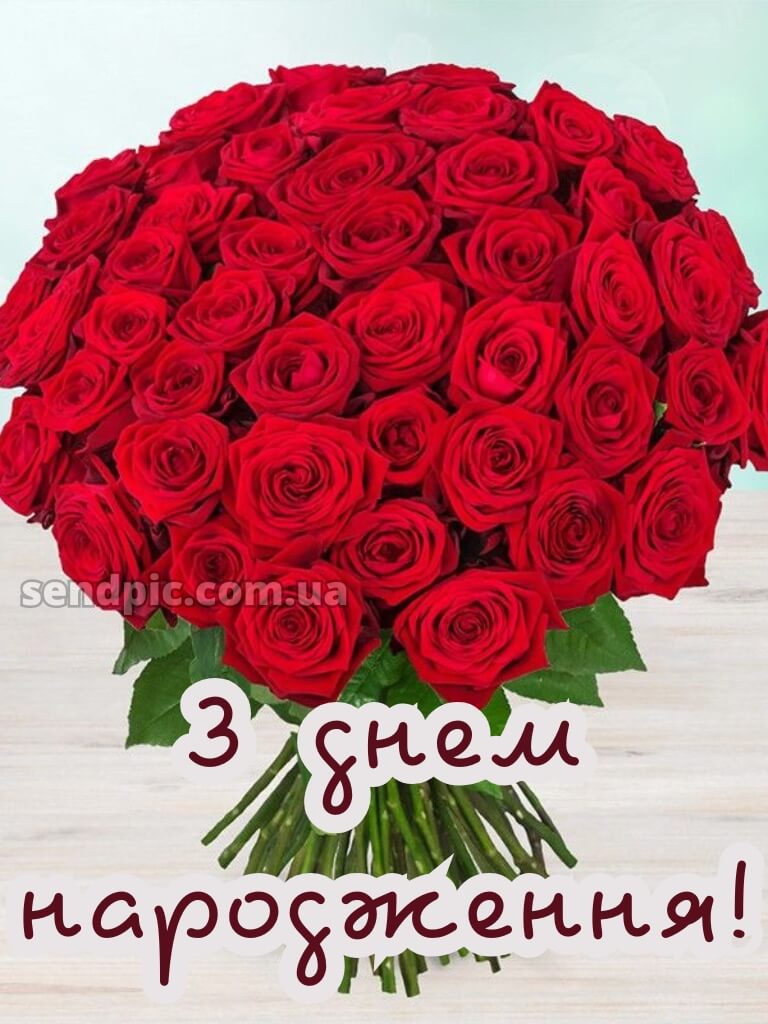Троянди рози шикарный з днем народження 27