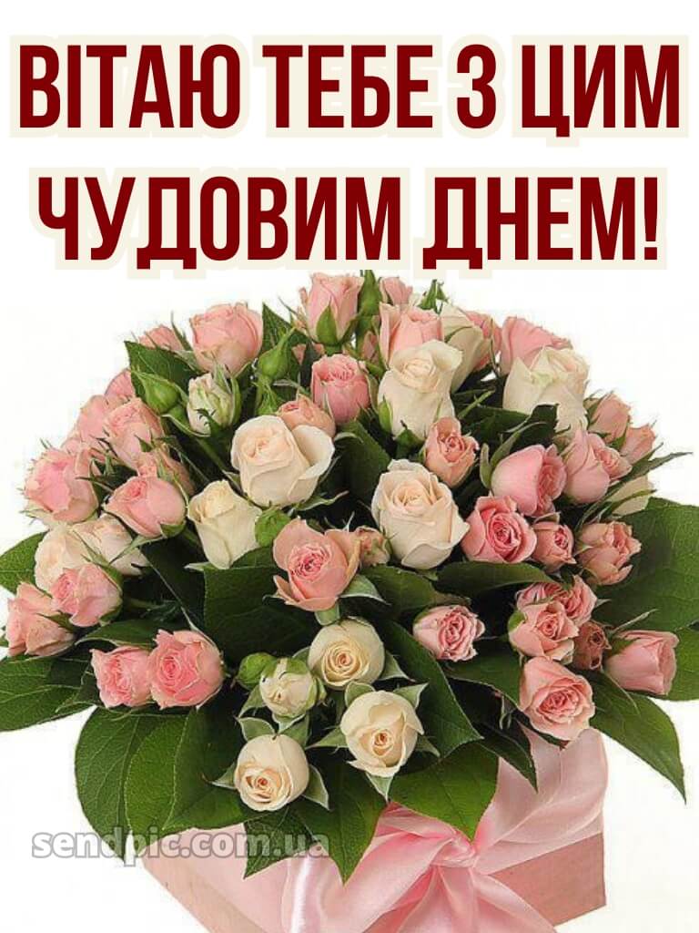 Троянди рози шикарный з днем народження 30