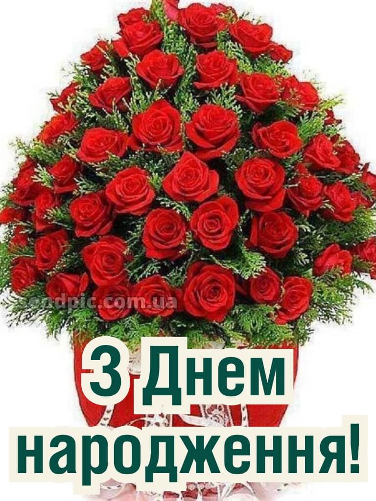 Троянди рози шикарный з днем народження 17