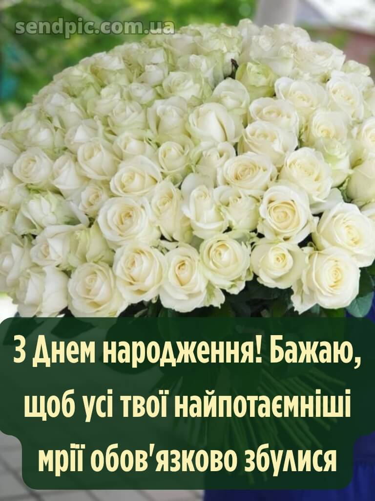 Троянди рози шикарный з днем народження 19