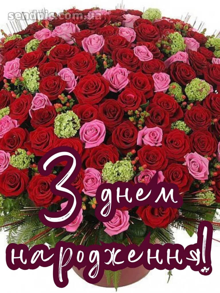 Троянди з днем народження 27