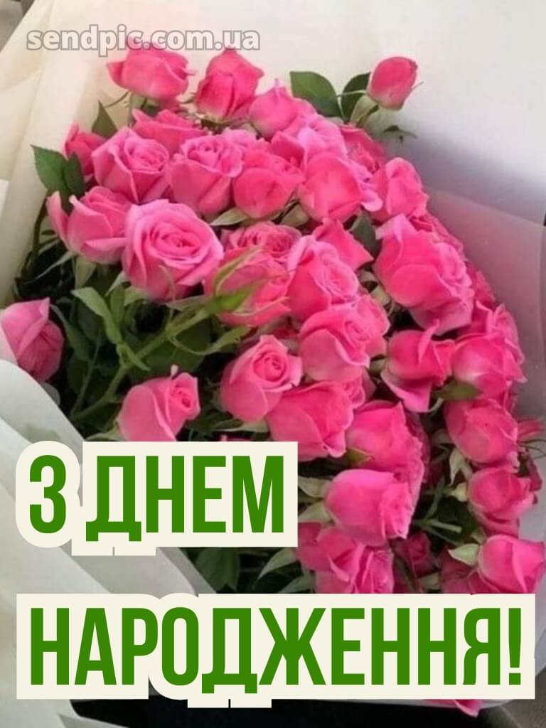 Троянди з днем народження 20