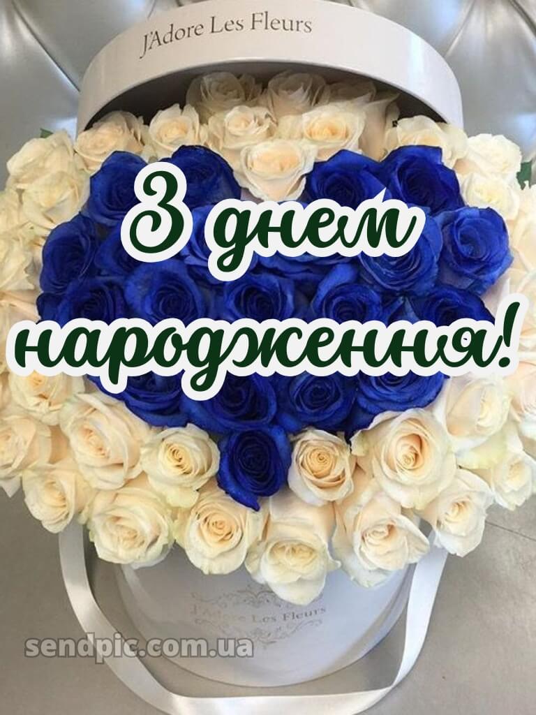 Троянди з днем народження 23