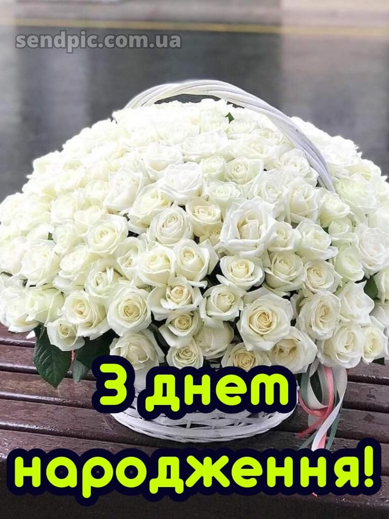Вітальні листівки привітання з днем народження білі троянди 19