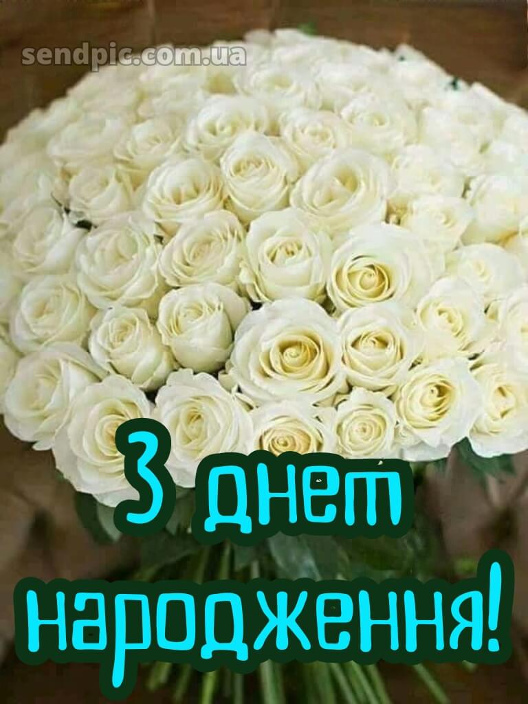 Вітальні листівки привітання з днем народження білі троянди 20