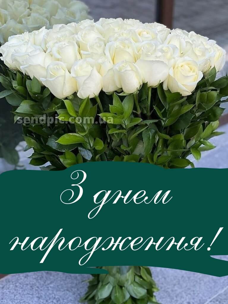 Вітальні листівки привітання з днем народження білі троянди 22
