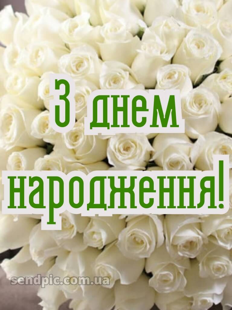 З днем народження білі троянди 29