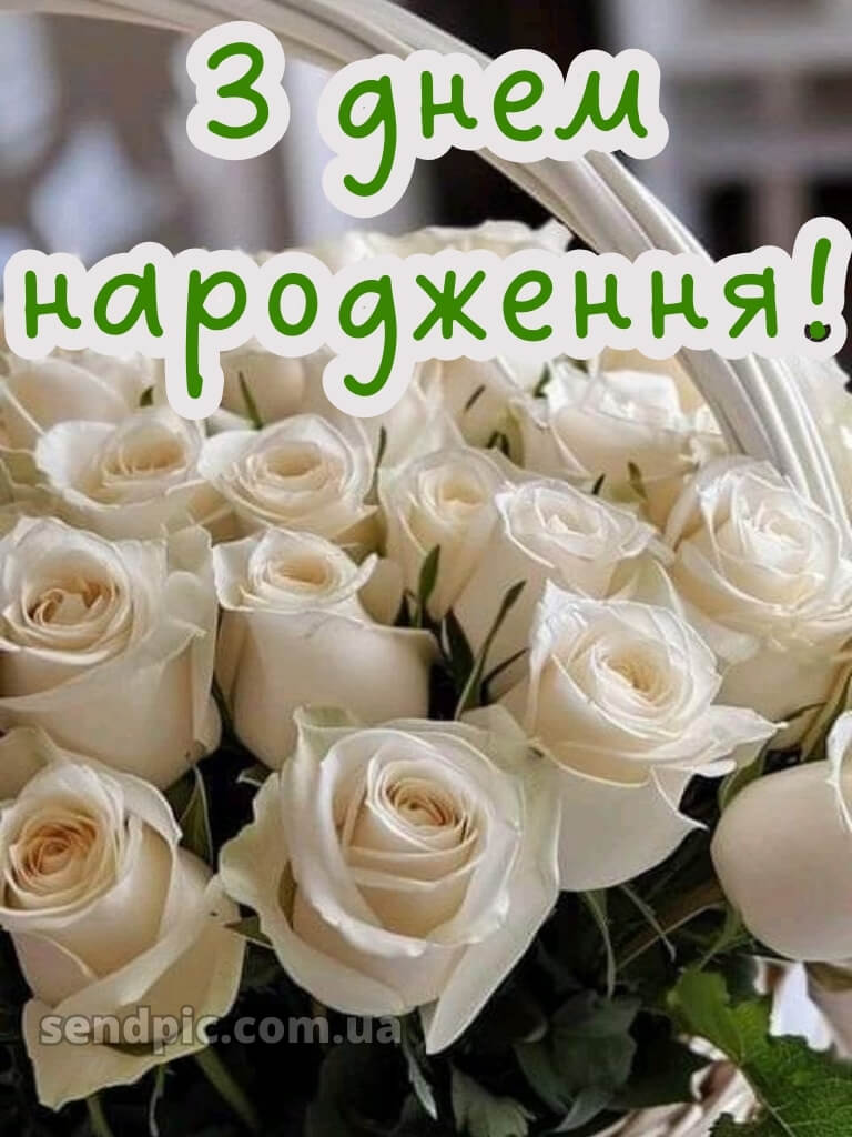 З днем народження білі троянди 17
