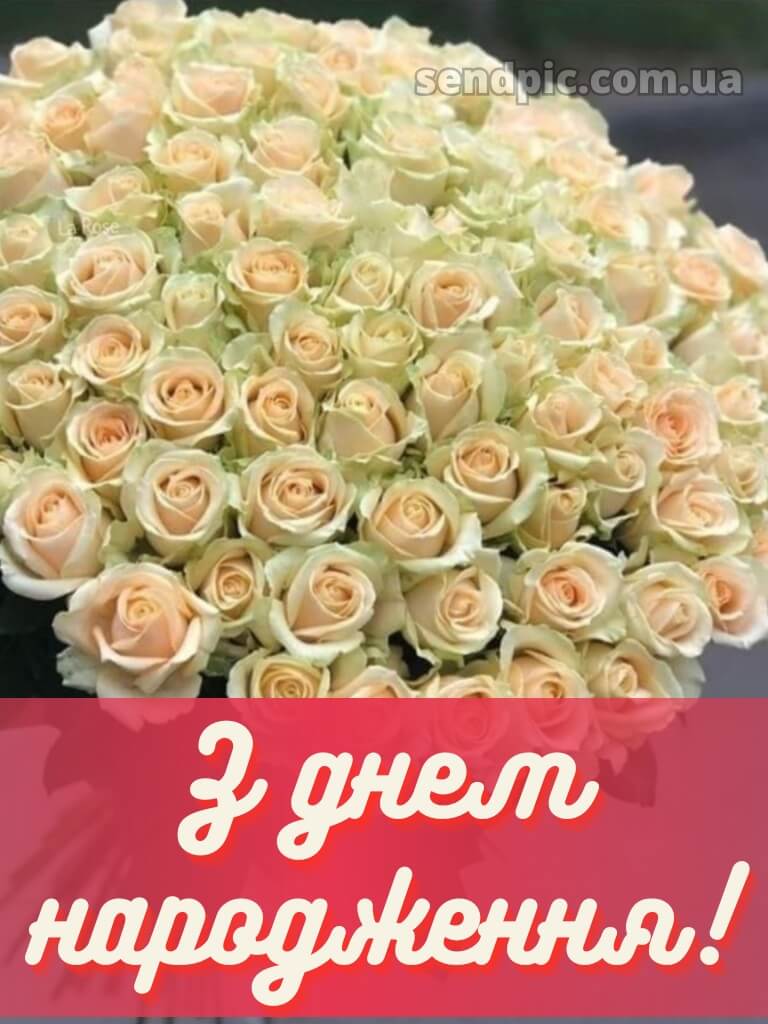 З днем народження білі троянди 22