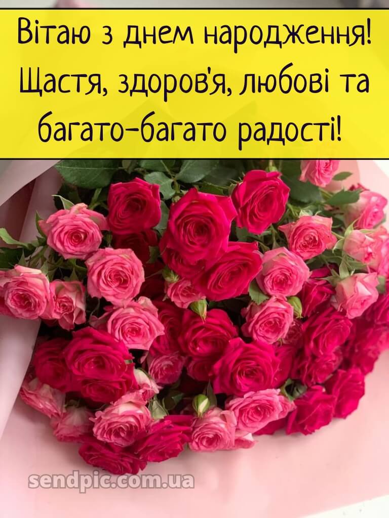 З днем народження троянди 16