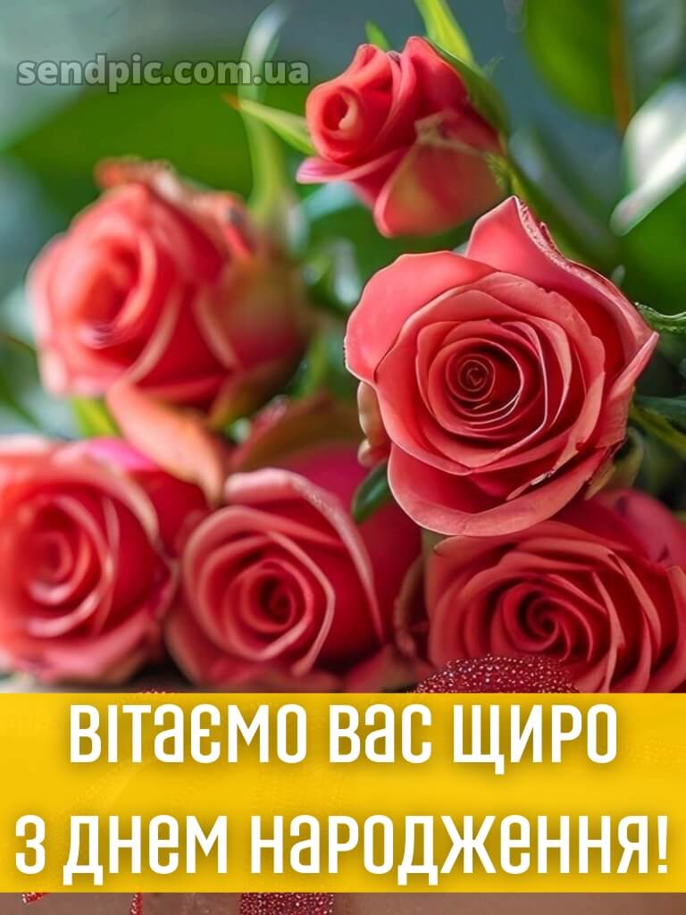 З днем народження троянди 26
