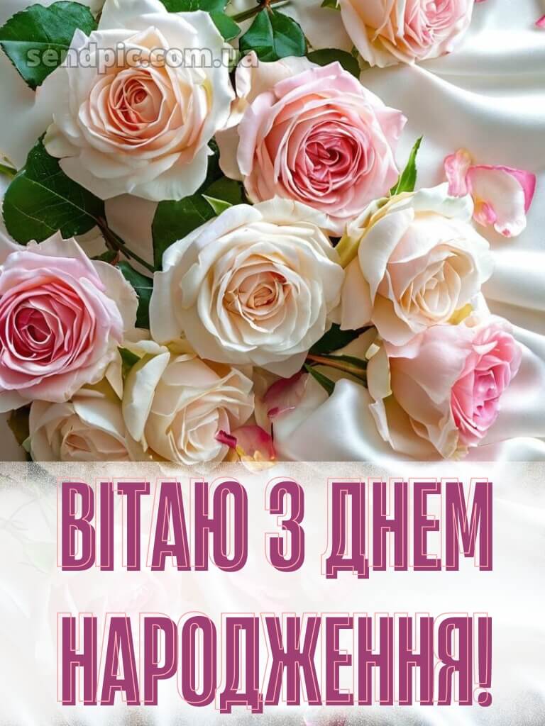 З днем народження троянди 28
