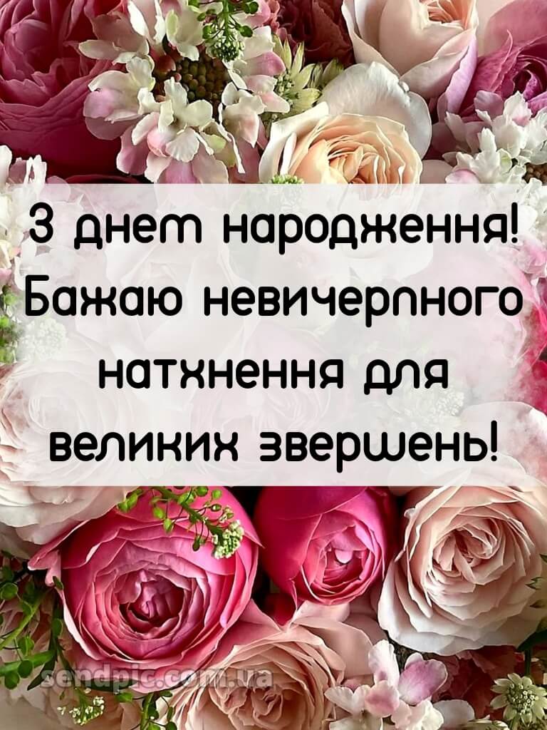 З днем народження троянди 18