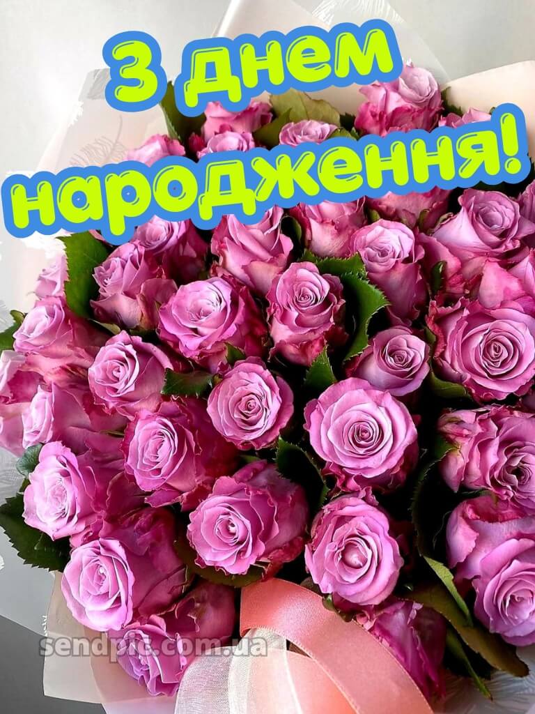 З днем народження троянди 20