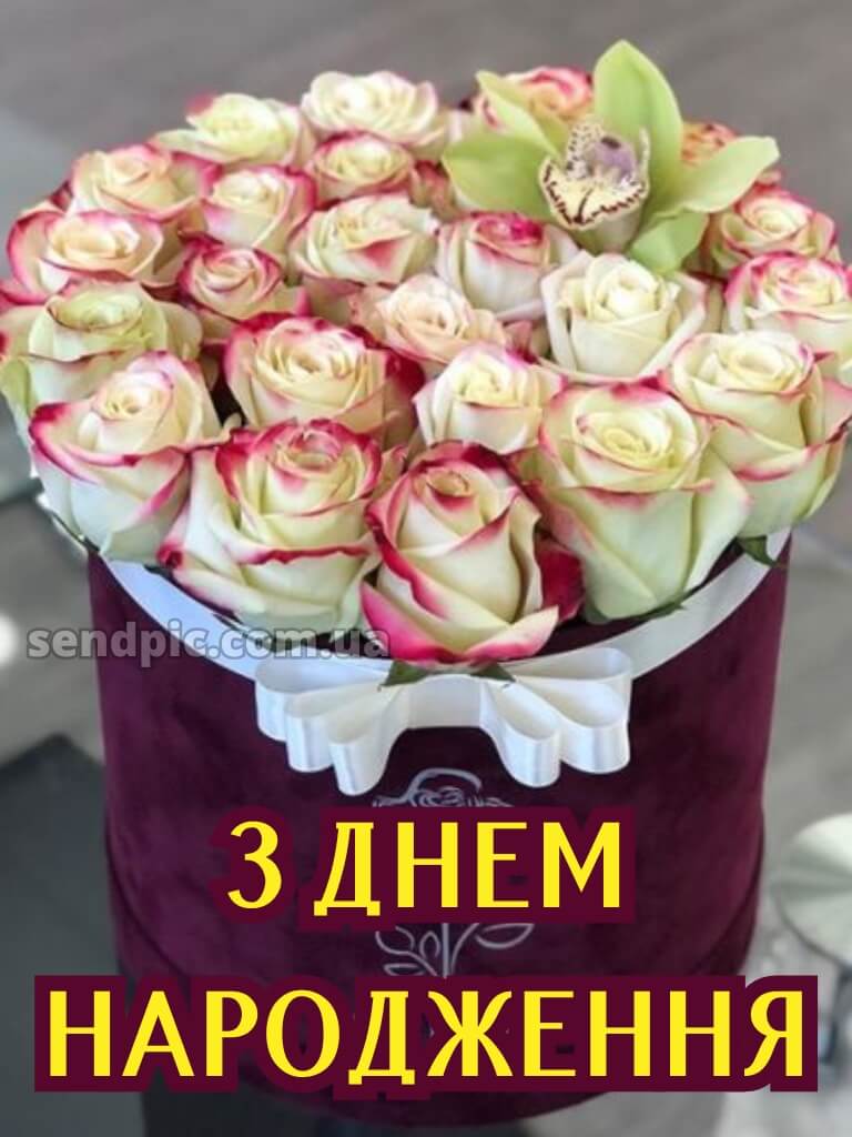 З днем народження троянди в коробці 17
