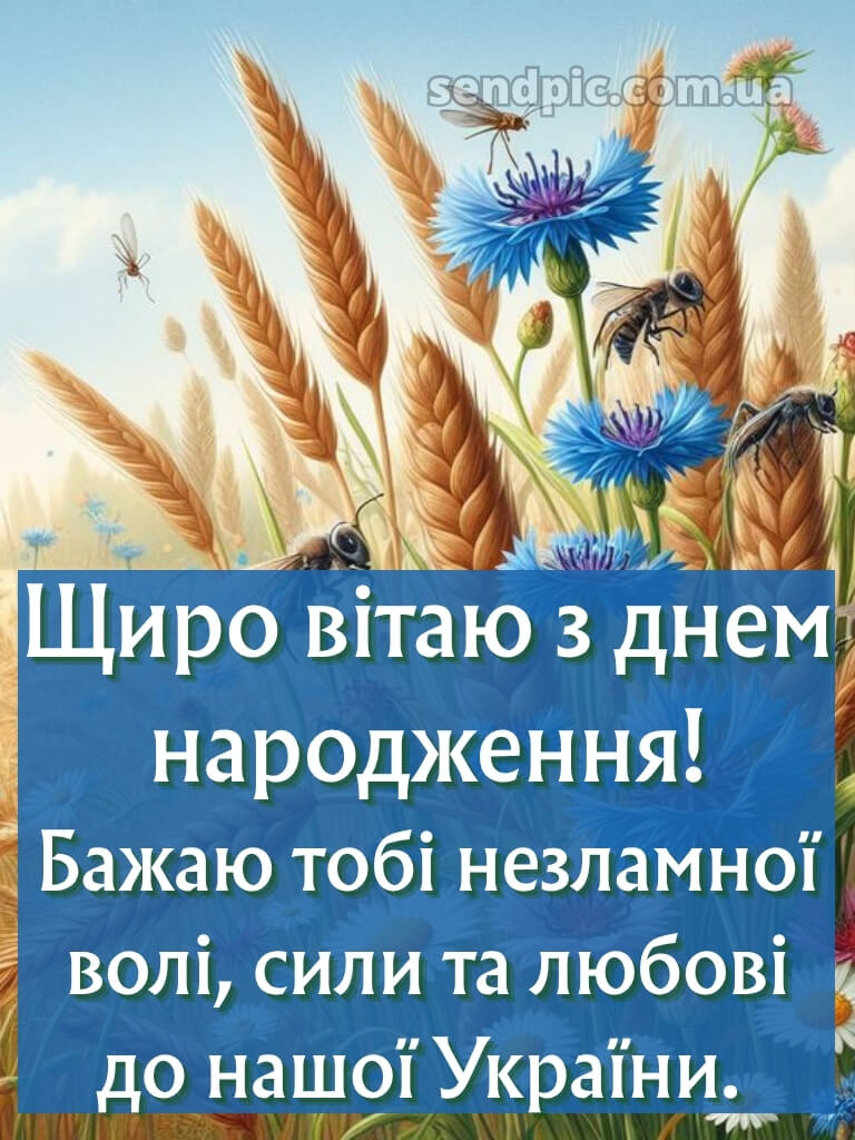 Чоловіку патріотичне привітання з днем народження 22