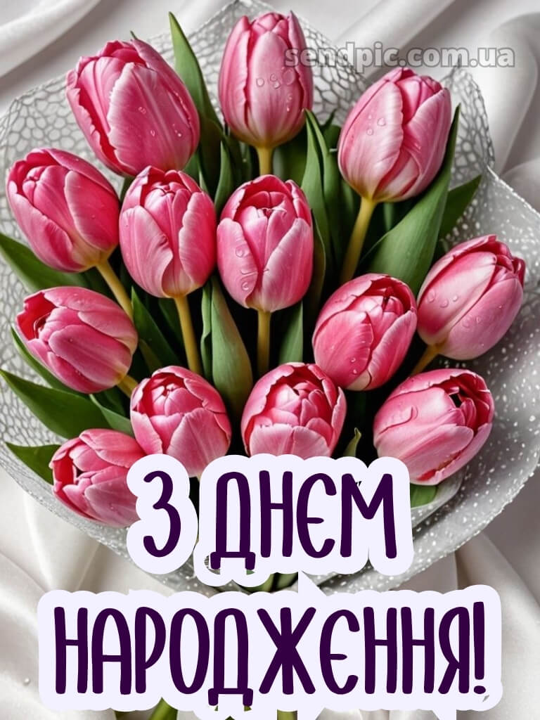 Листівки з днем народження тюльпани 16