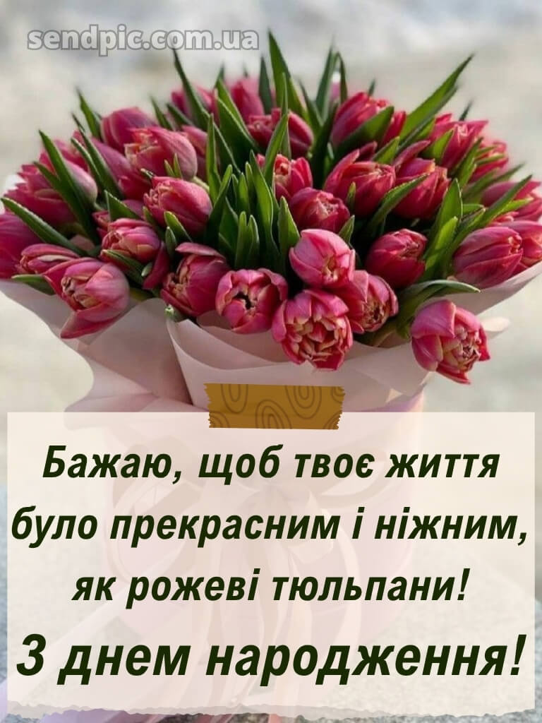 Листівки з днем народження тюльпани 26