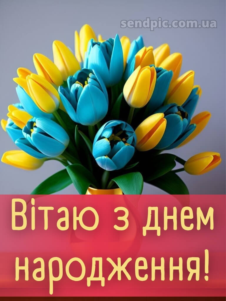 Листівки з днем народження тюльпани 28