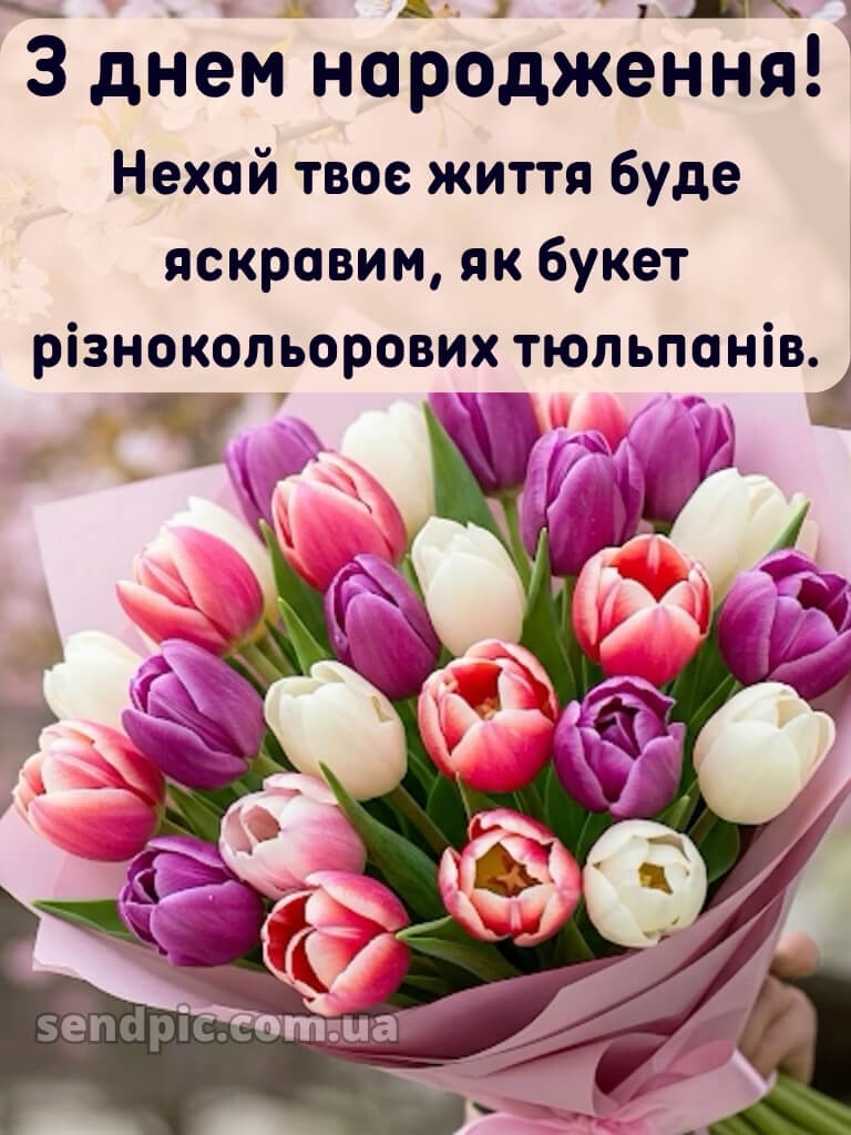 Листівки з днем народження тюльпани 19
