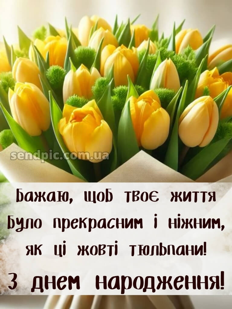 Листівки з днем народження тюльпани 21