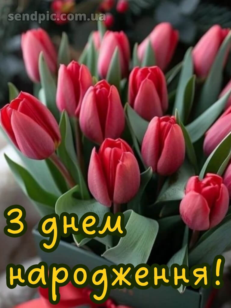 Листівки з днем народження тюльпани 22