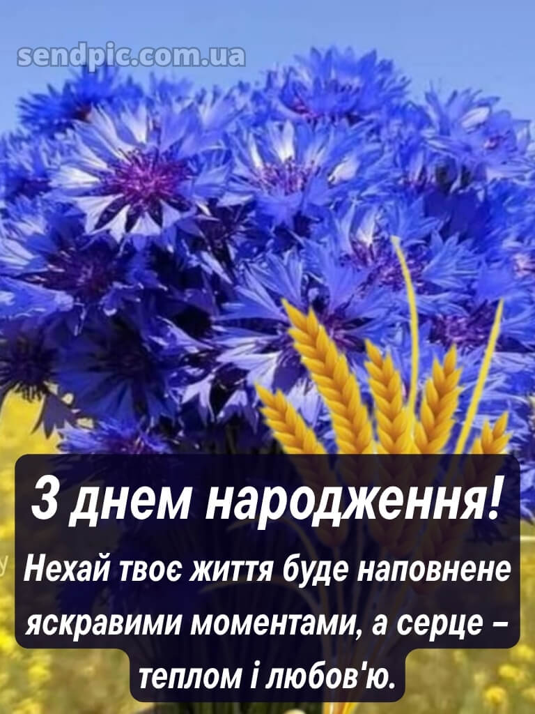 Мирного патріотичне привітання з днем народження 26