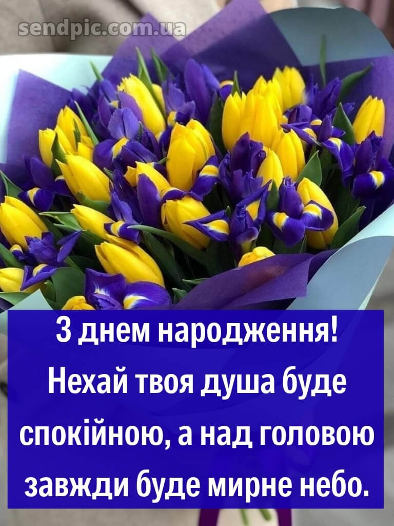 Мирного патріотичне привітання з днем народження 24