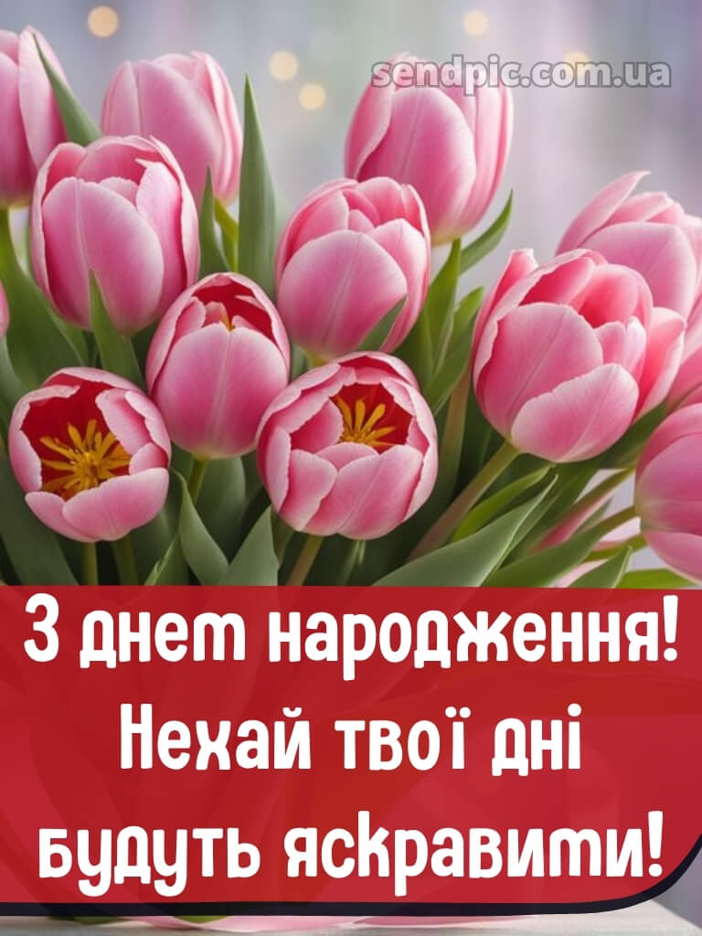Ніжні тюльпани з днем народження тюльпани 25