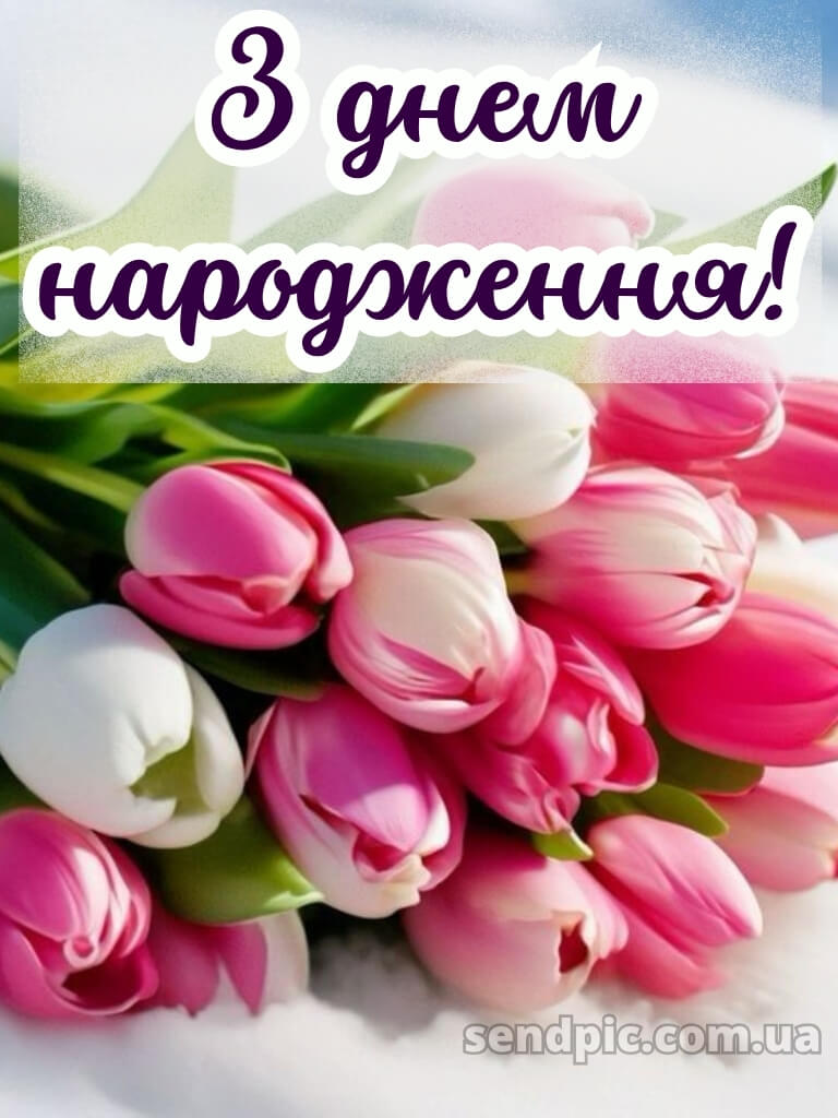 Ніжні тюльпани з днем народження тюльпани 26