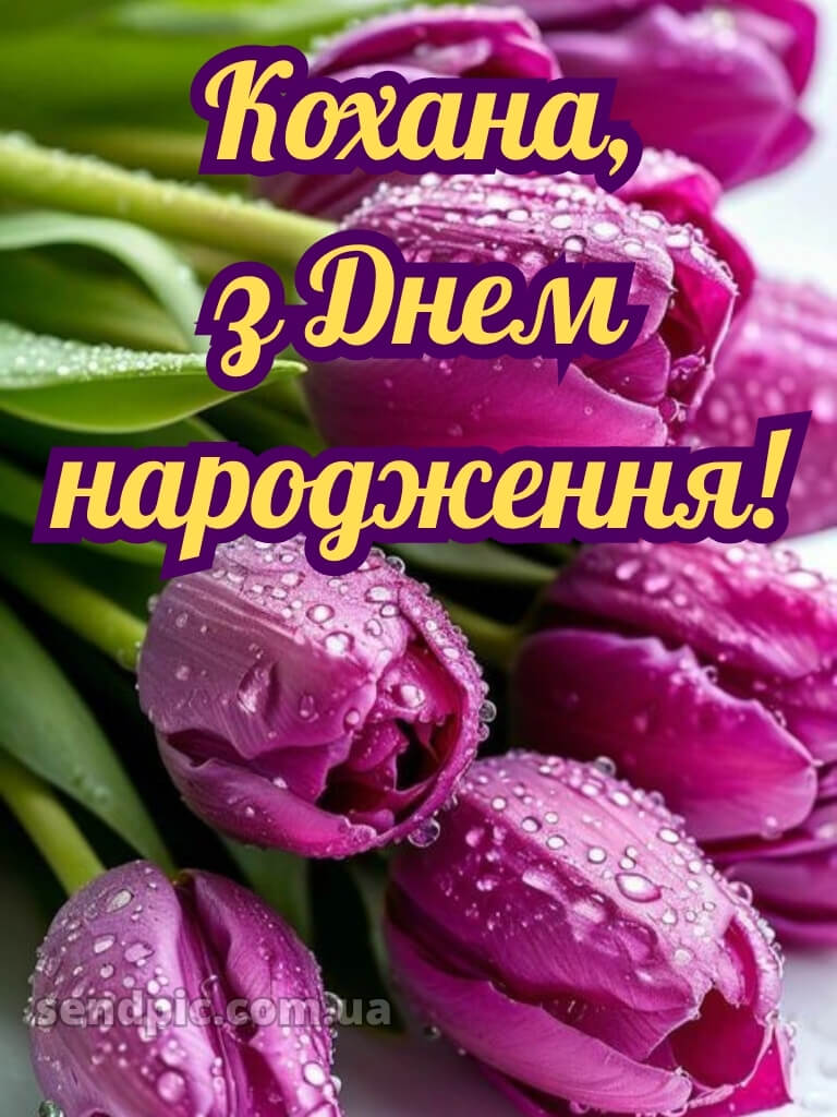 Ніжні тюльпани з днем народження тюльпани 27