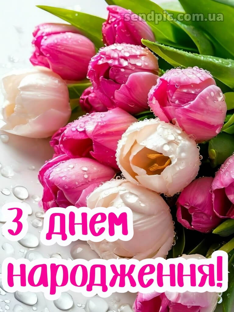Ніжні тюльпани з днем народження тюльпани 29