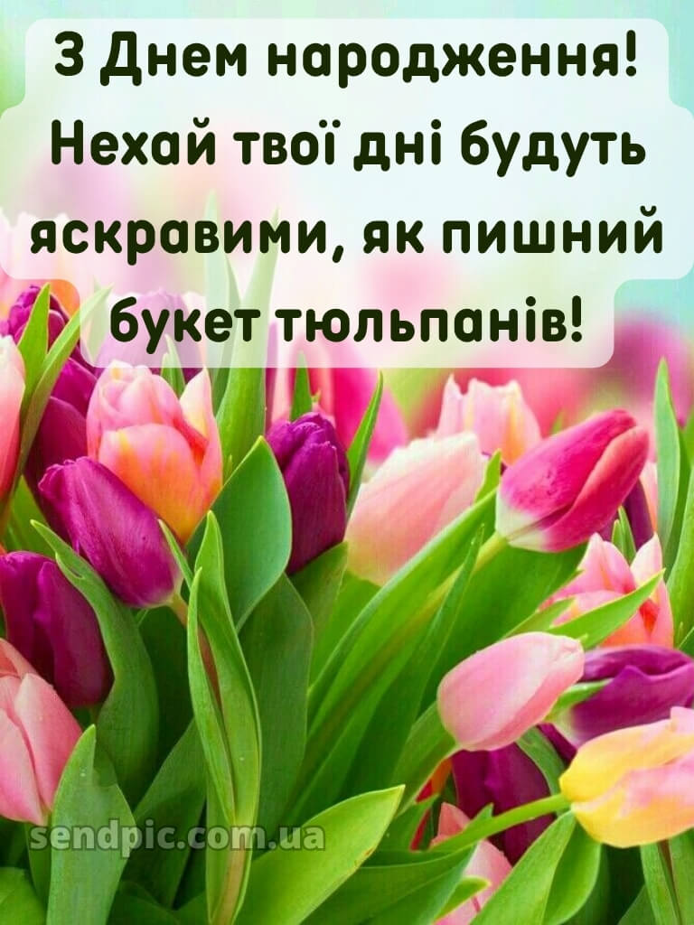 Ніжні тюльпани з днем народження тюльпани 30