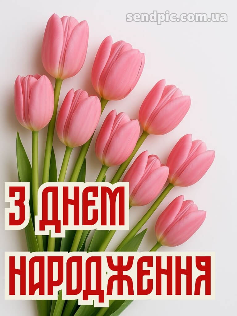 Ніжні тюльпани з днем народження тюльпани 18